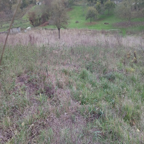 Offres de vente Terrain Vraiville 27370